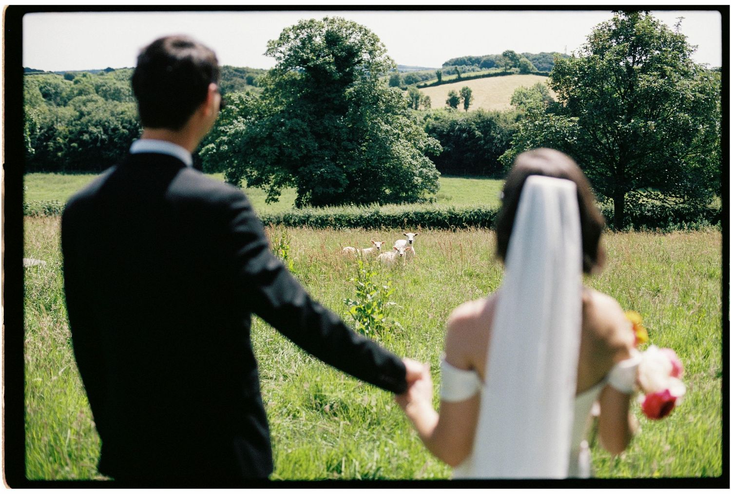Bride and groom holding hands walking through a scenic green meadow with rolling hills on their wedding day.