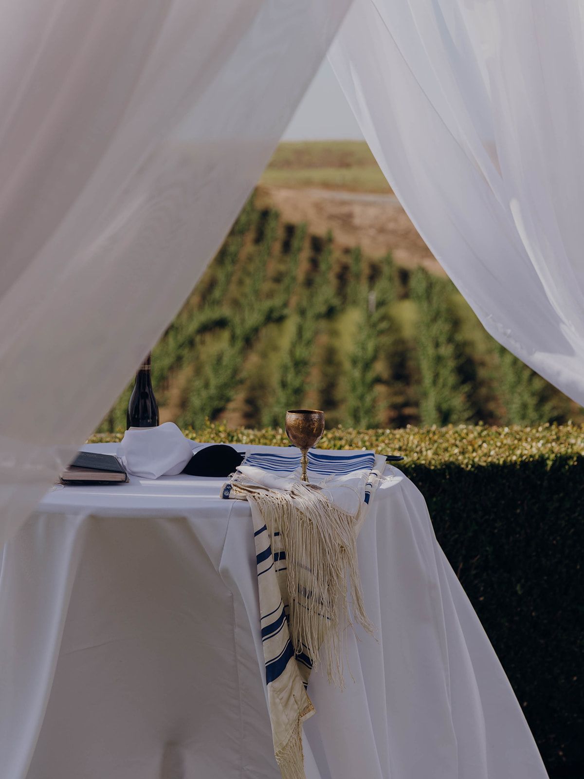 Jewish prayer shawl and wine glass arranged on white table with vineyard view through flowing sheer curtains.