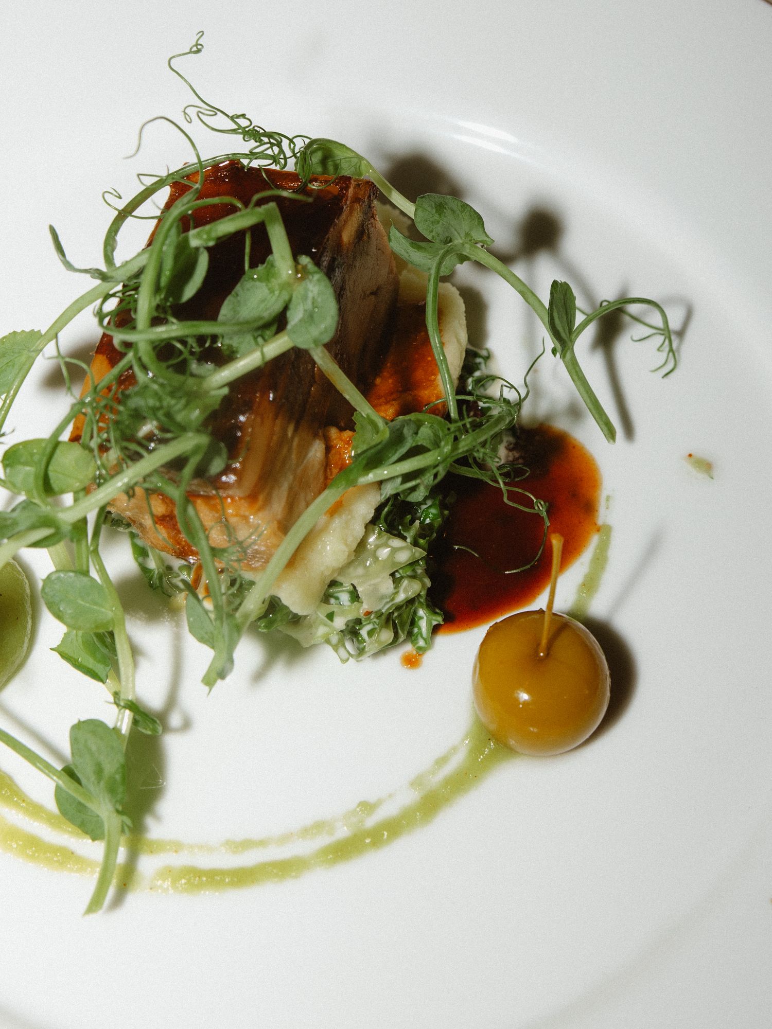 Artistically plated gourmet dish with microgreens and sauce on white porcelain.