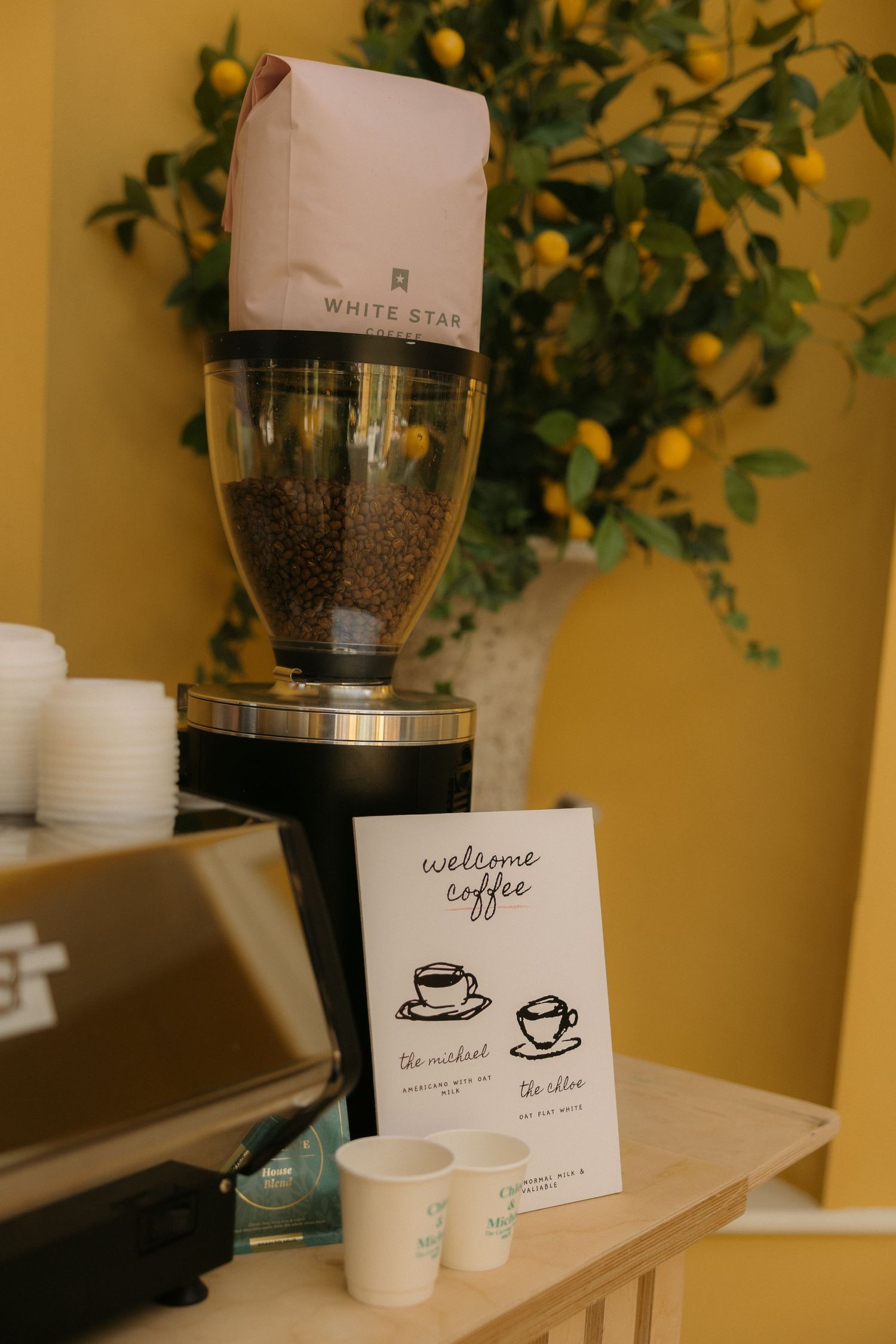 Coffee station setup with white cups and a grinder against a yellow wall with green plants.
