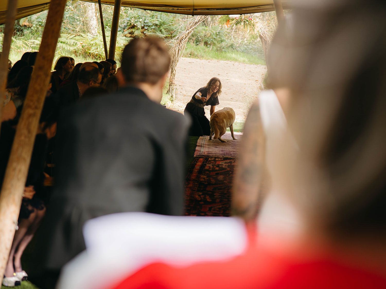 View from behind wedding guests seated under a tent looking towards the ceremony area outdoors.