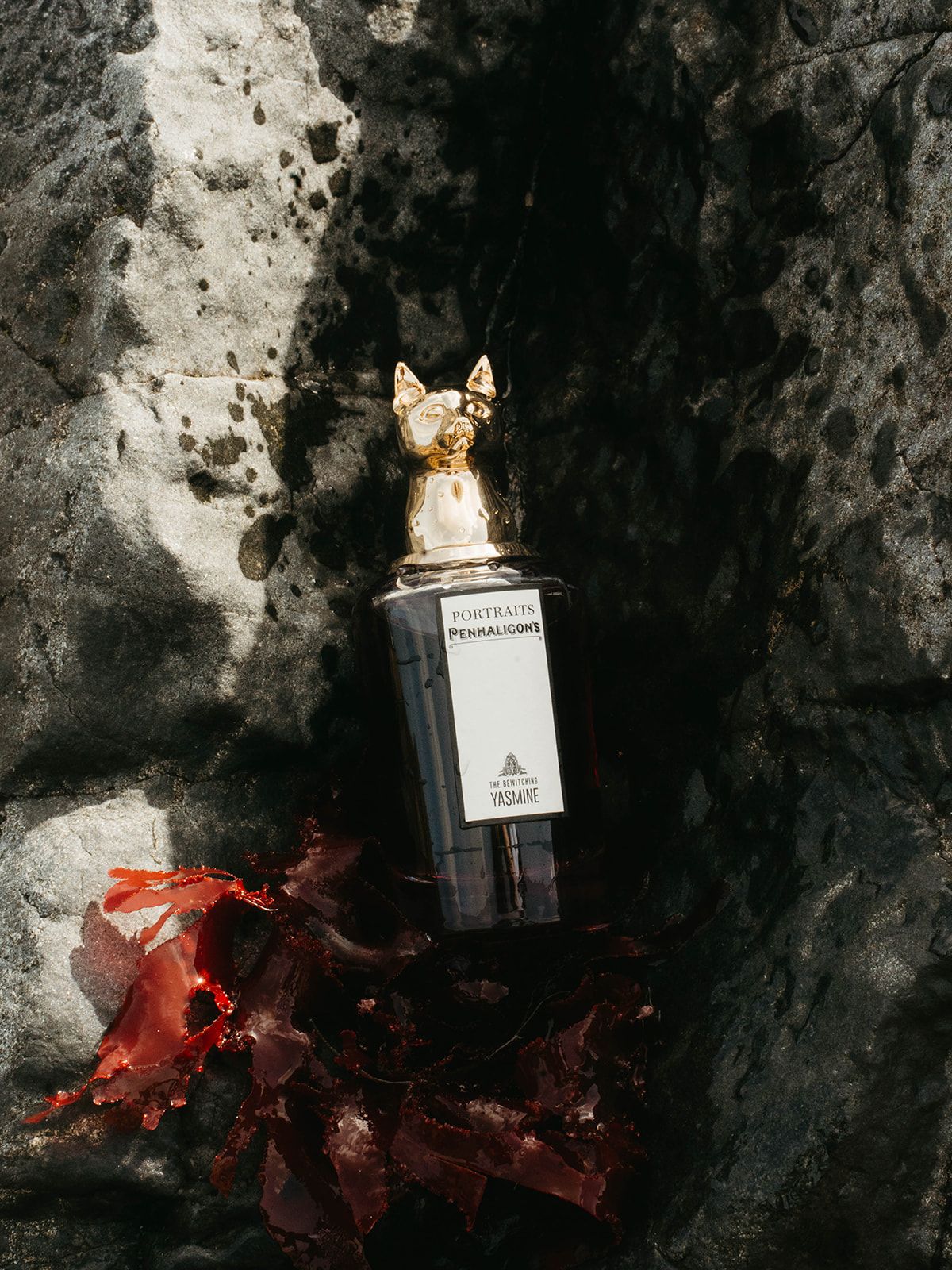 Decorative bottle with gold fox topper placed on red leaves against rocky background.