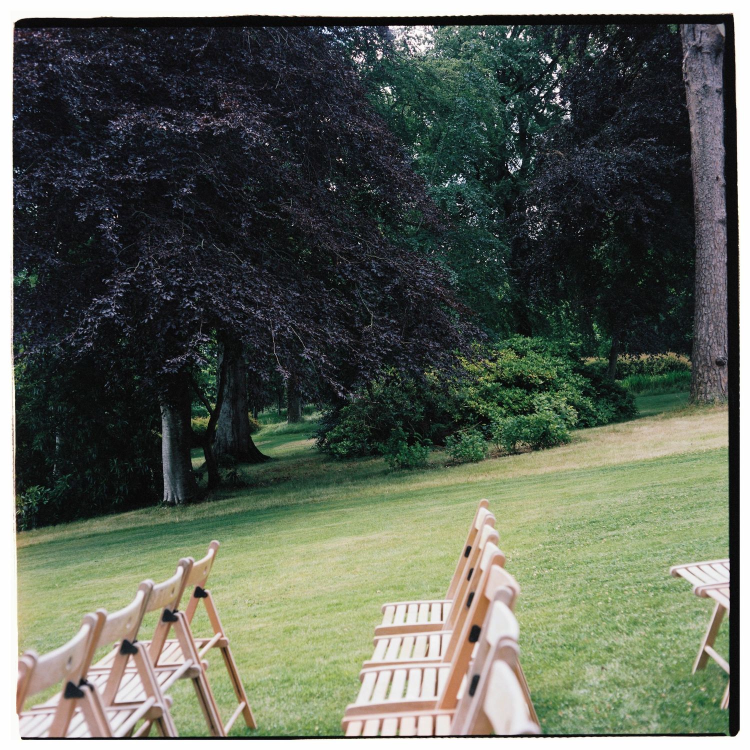 Wooden folding chairs arranged on lush green lawn for outdoor ceremony, surrounded by tall trees in a serene garden setting.