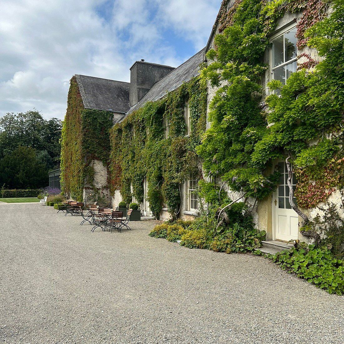 Panoramic view of an elegant country house with ivy-covered walls and gravel driveway surrounded by lush greenery.