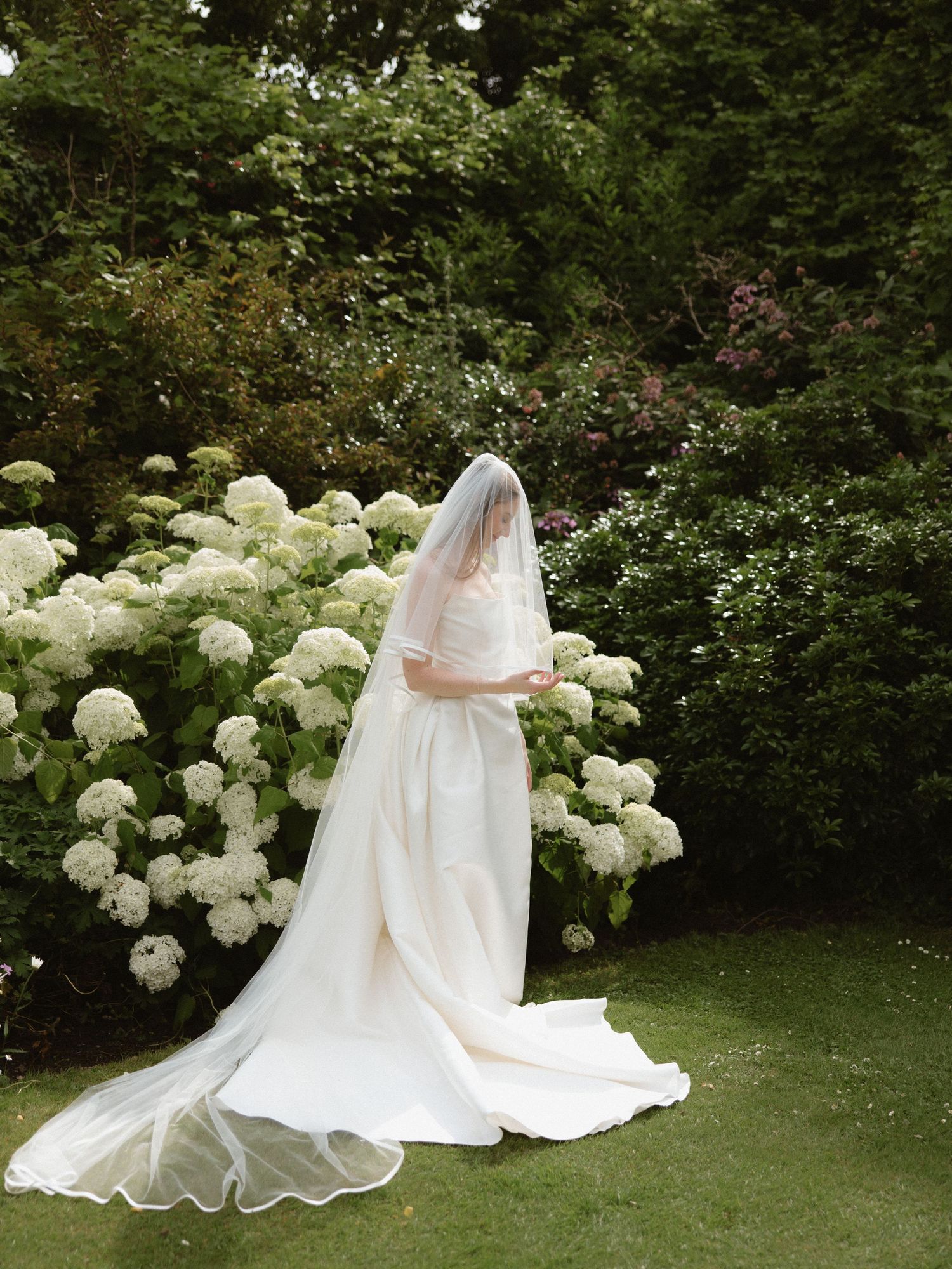 A bride in a flowing white wedding dress poses gracefully in a garden setting with blooming white hydrangea bushes.