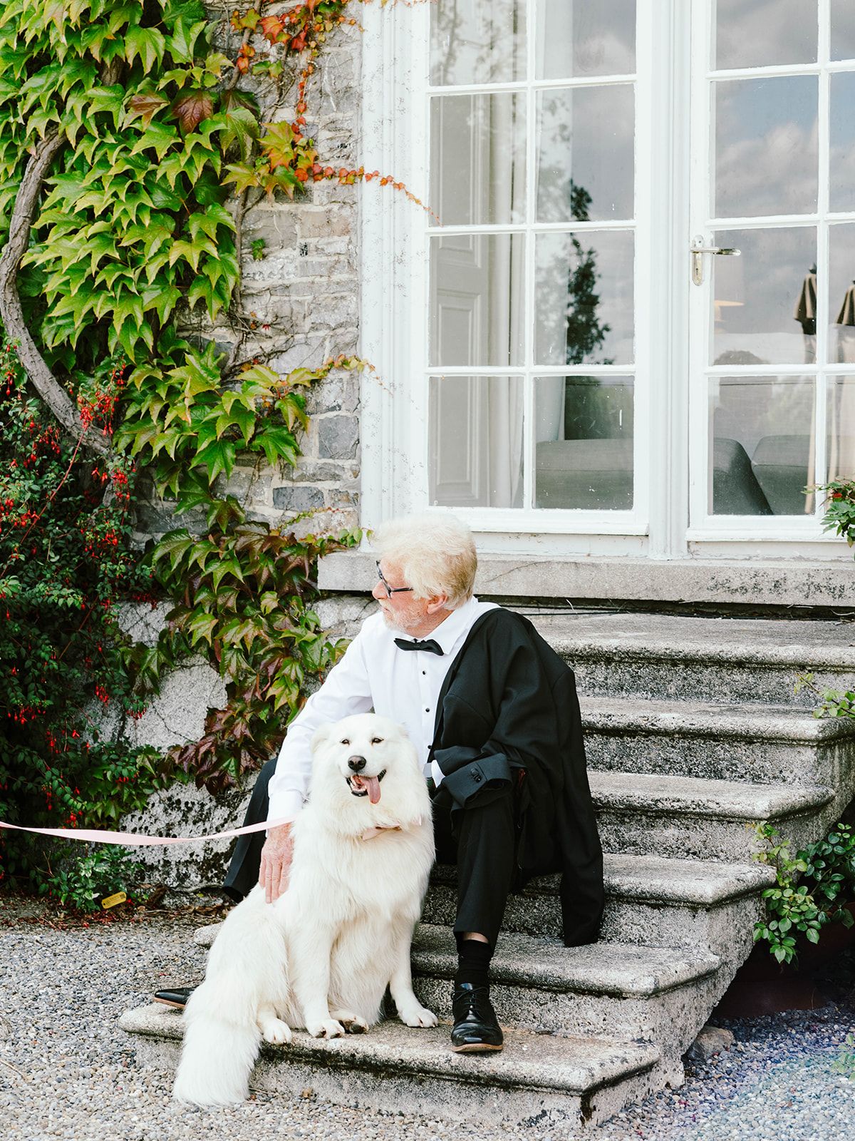 Elegant white dog and companion sitting on stone steps by window with climbing vines on building exterior.