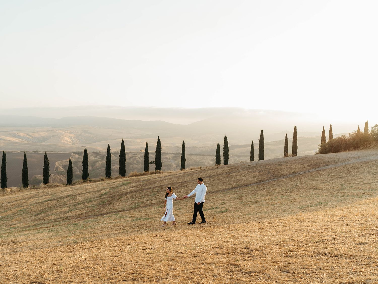 Row of cypress trees line a path through rolling Tuscan hills.