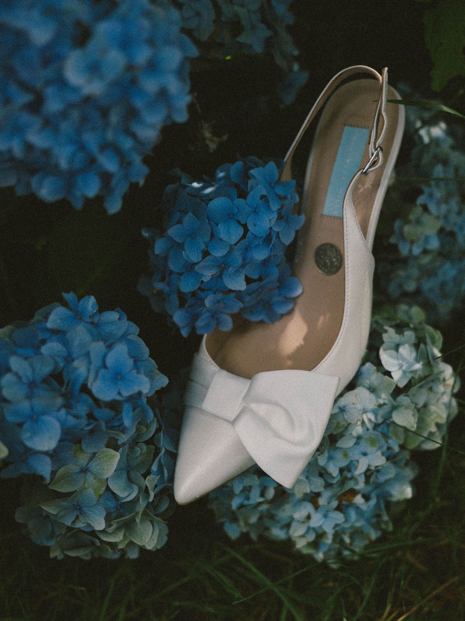 White bridal heels nestled among vibrant blue hydrangea flowers.