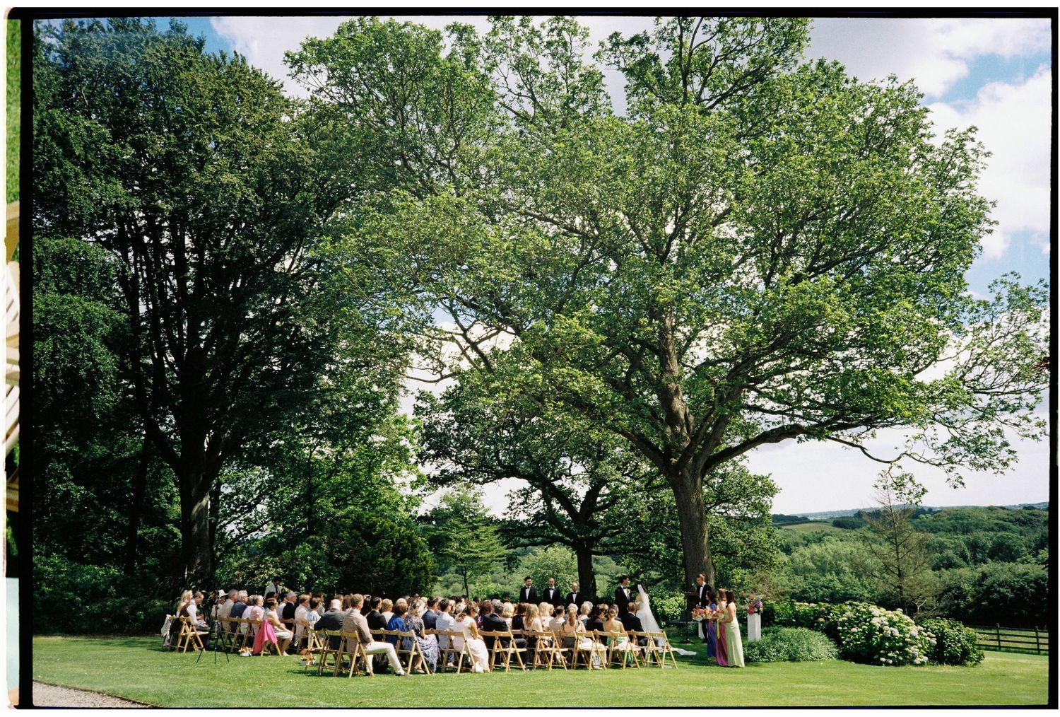 Outdoor wedding ceremony on lush green lawn beneath large oak trees on a sunny day.