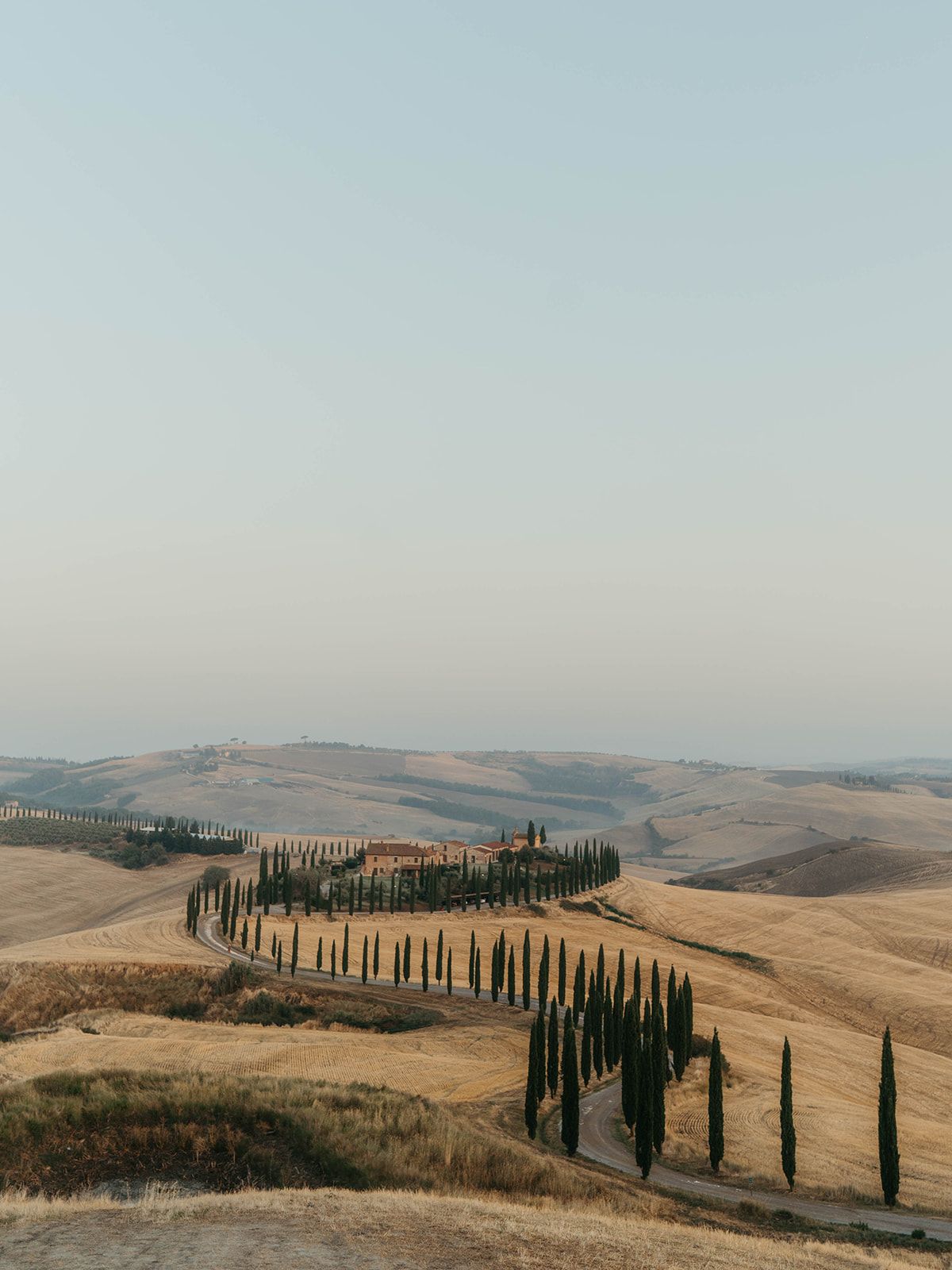 Rolling Tuscan hills with winding cypress tree-lined road stretching across golden countryside in Italy.