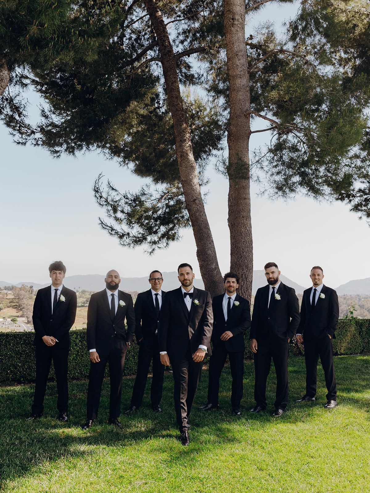 A wedding party of groomsmen in black suits pose outdoors under a towering pine tree on a grassy hillside.