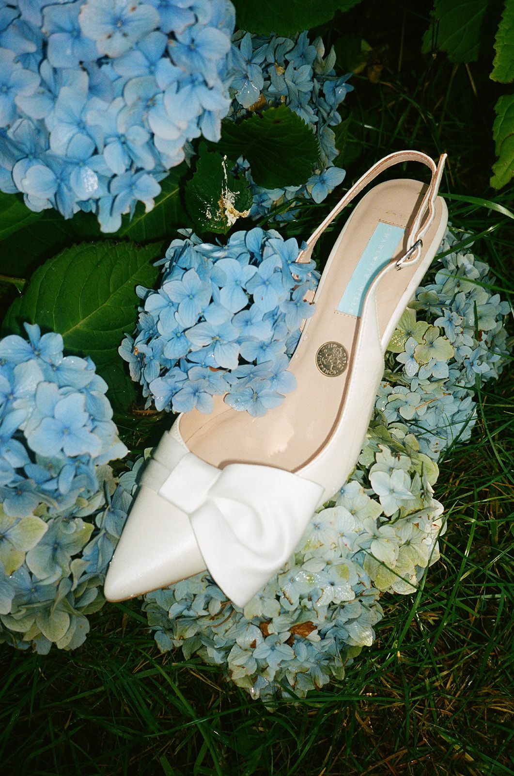 White slingback heels with bow details sit elegantly among blooming blue hydrangea flowers in a garden setting.