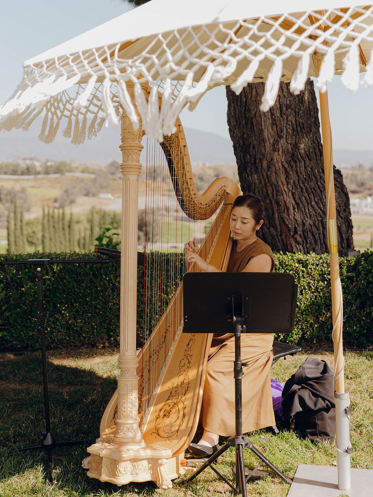 A musician plays an elegant golden harp under a white macrame umbrella in an outdoor garden setting.