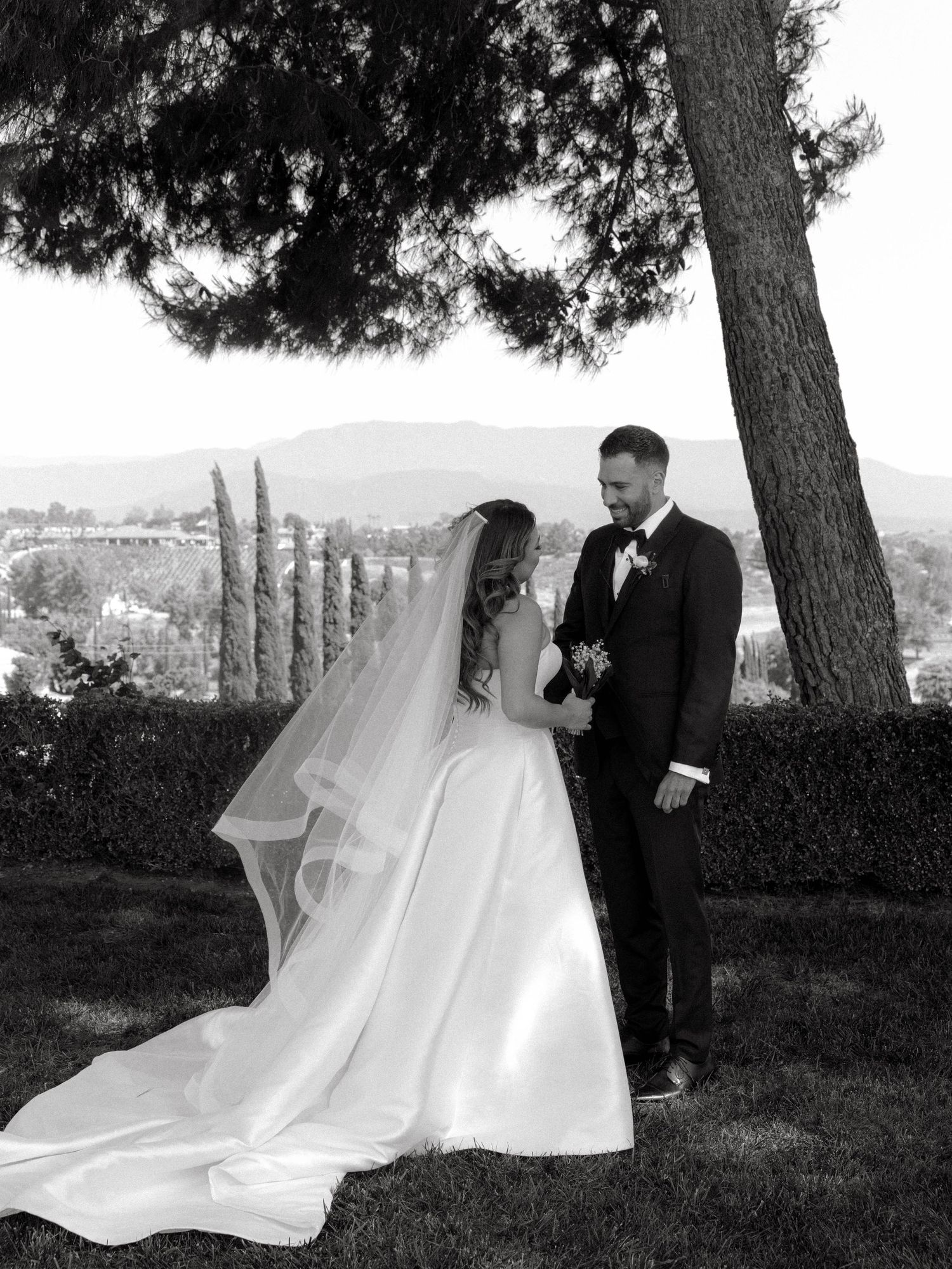 A romantic black and white wedding photoshoot sequence under tall trees in a scenic outdoor setting.