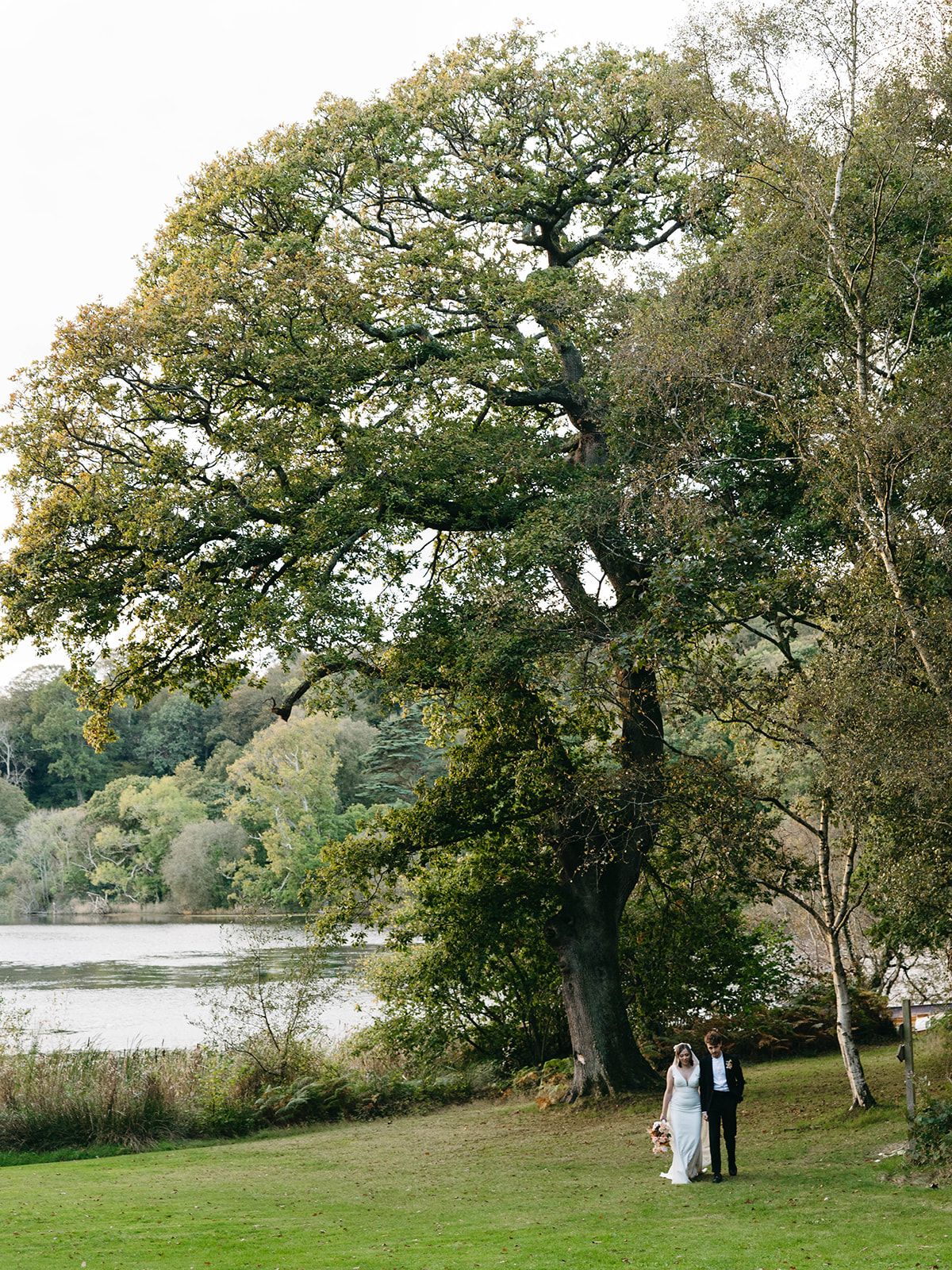 A majestic old oak tree stands by a serene lake, with figures standing beneath its sprawling branches on a grassy shore.