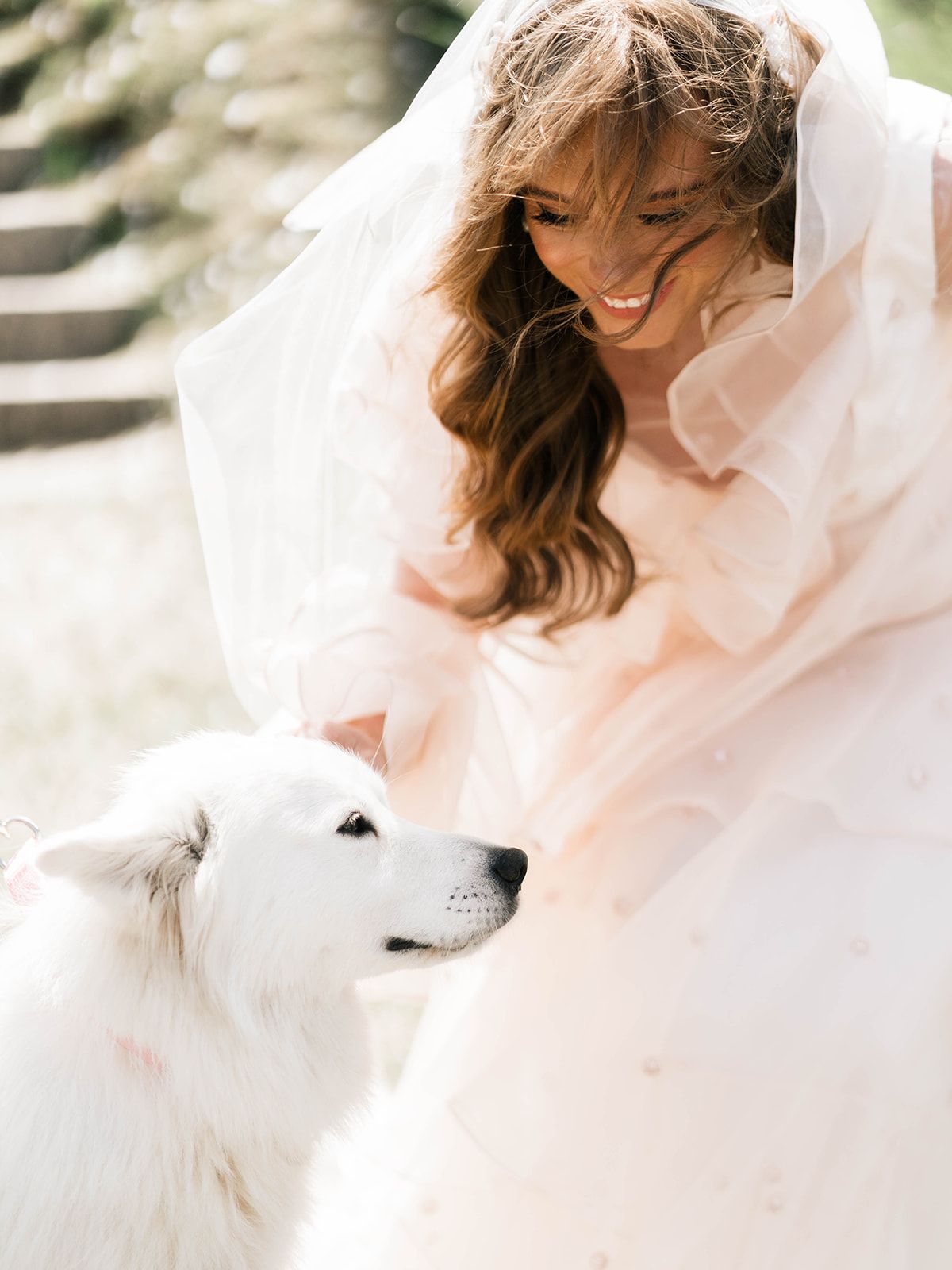 A bride in a white dress shares a tender moment with a fluffy white dog.