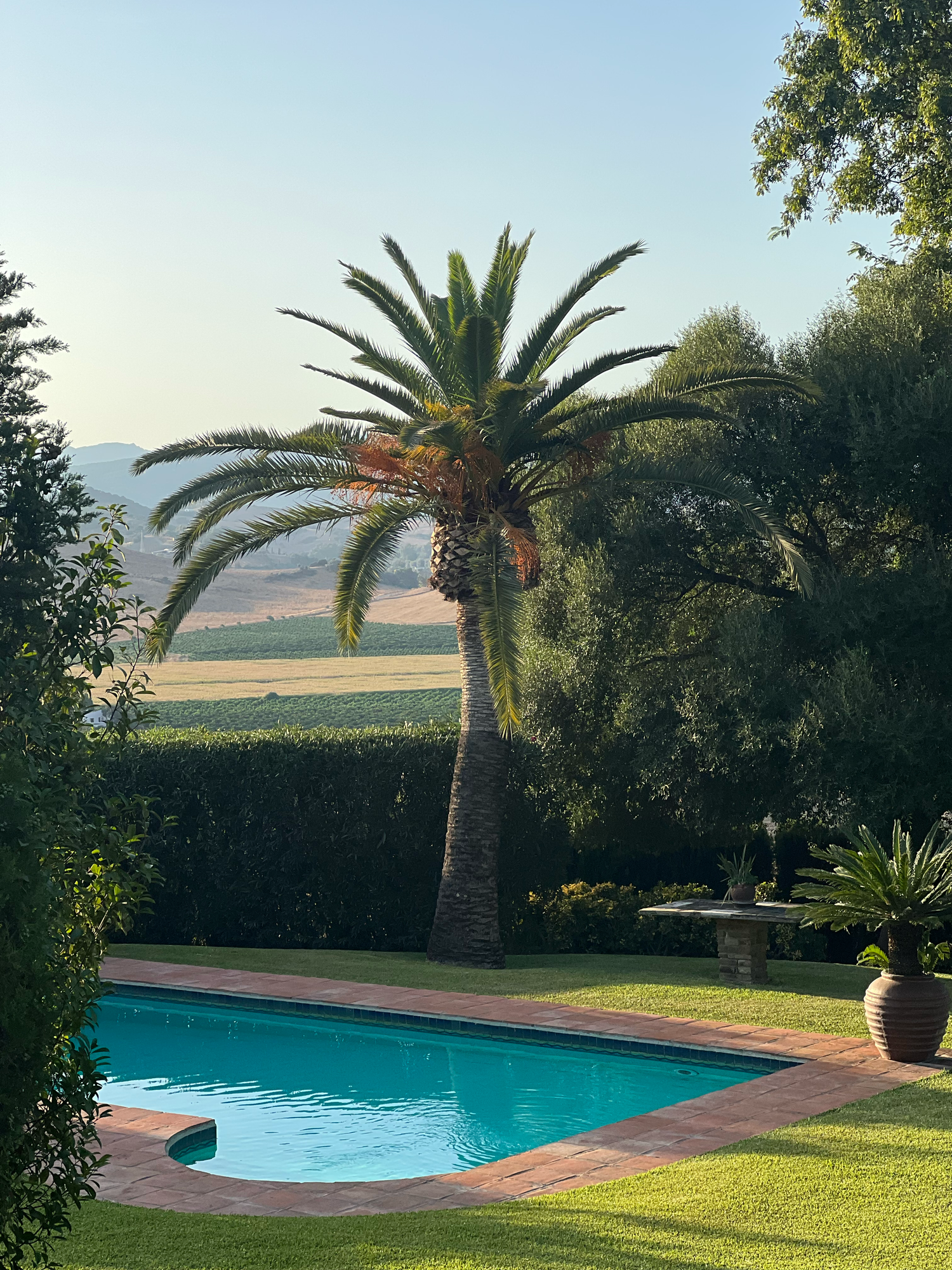Luxurious backyard swimming pool with palm trees and manicured lawn overlooking scenic mountain views.