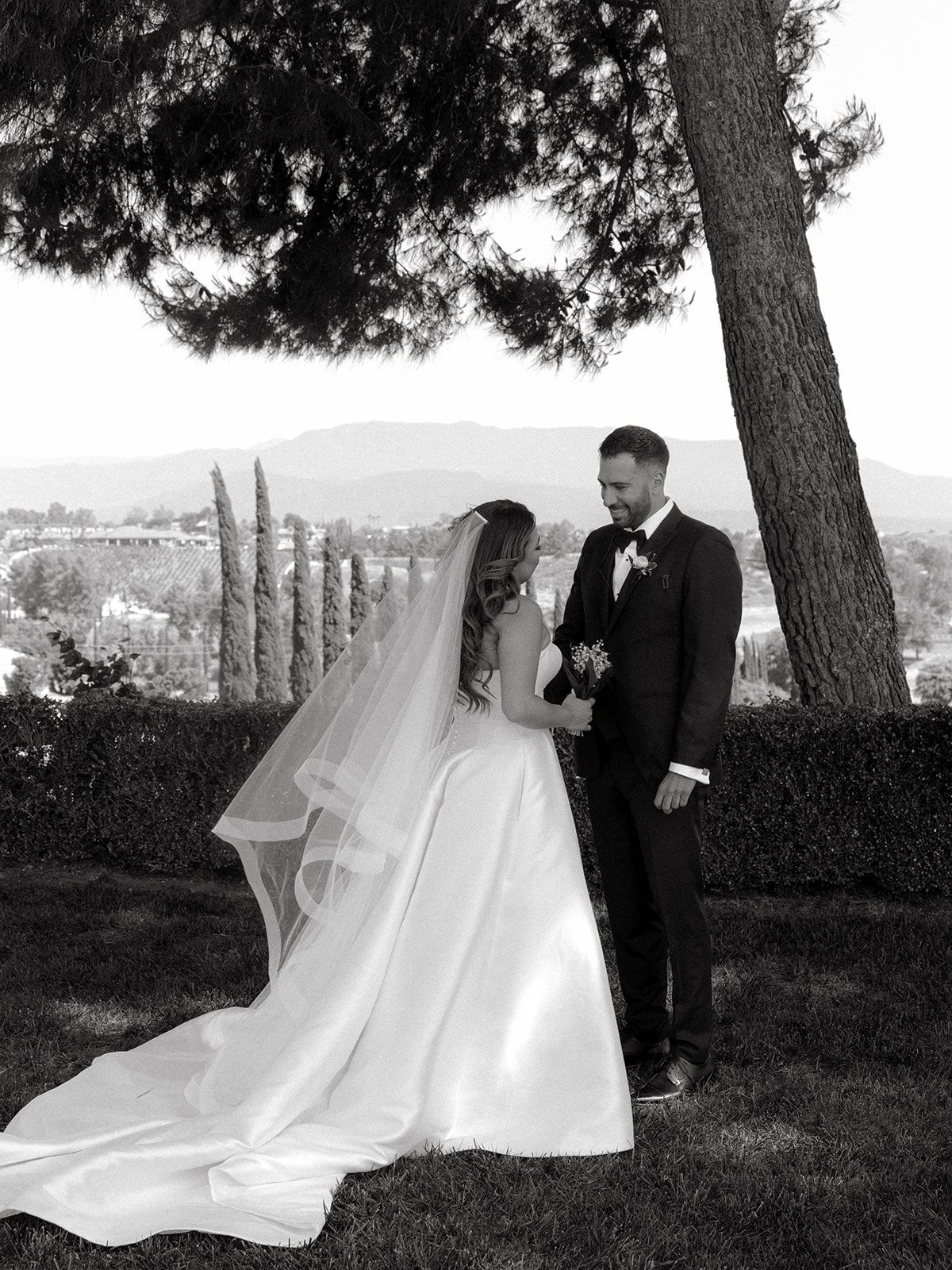 A black and white wedding photo captured under a pine tree with cypress trees and mountains in the background.