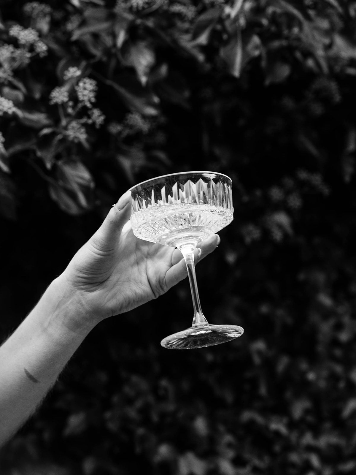 A hand holds up an elegant crystal champagne coupe glass against a dark foliage background in black and white.