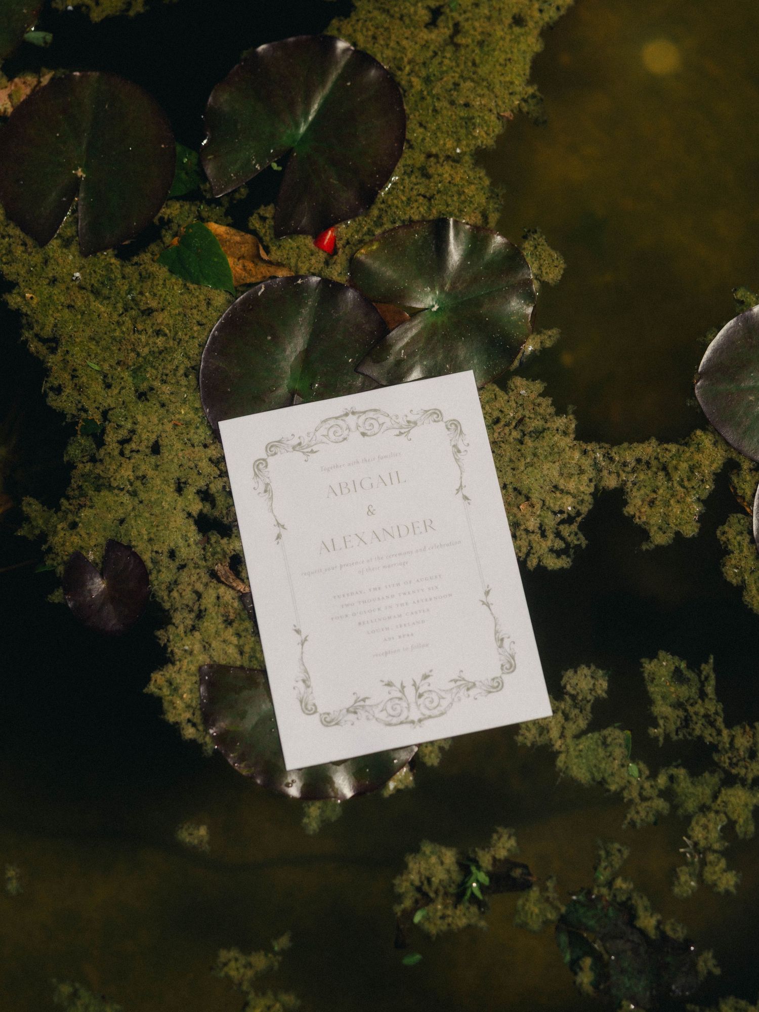 Elegant wedding invitation resting on lily pads in a tranquil pond, surrounded by lush green aquatic plants.