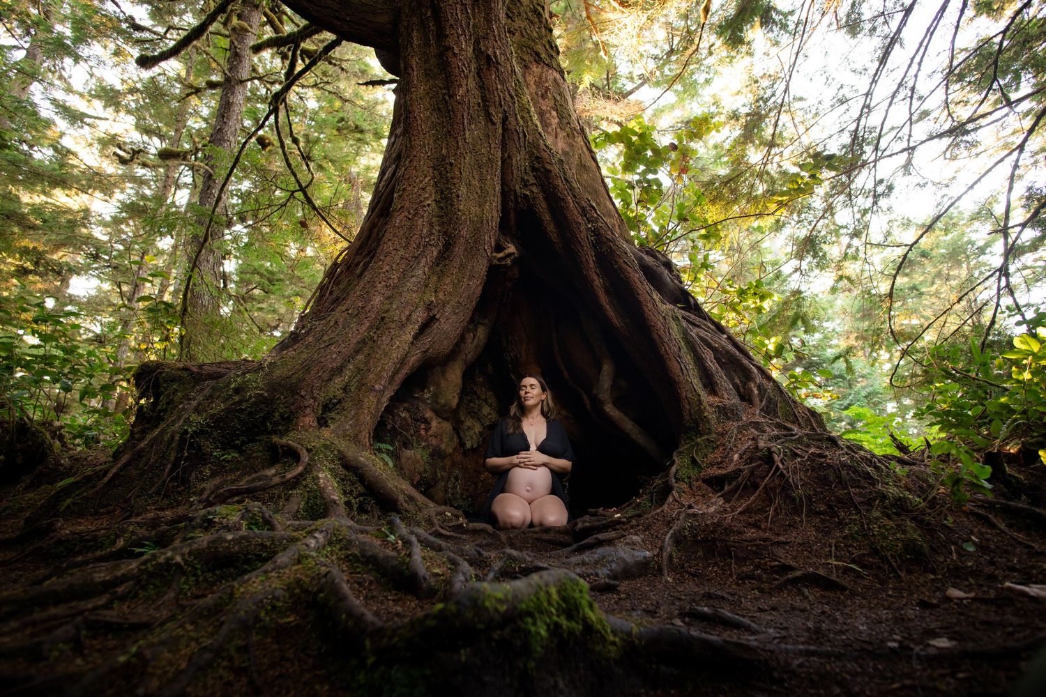 Person meditating in lotus pose inside hollow of massive ancient tree roots in lush green forest.