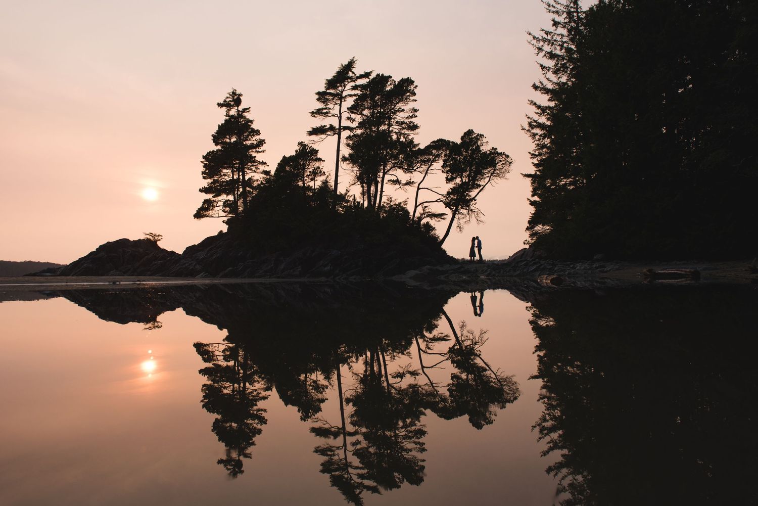 Silhouetted pine trees against a pink sunset sky with sun visible through coastal haze.