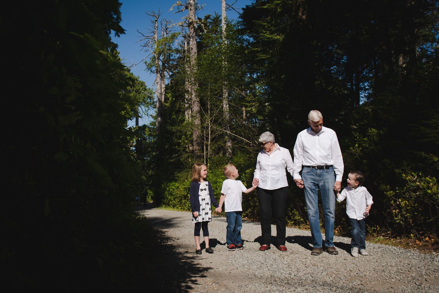 A group walks together on a sunny forest path surrounded by tall evergreen trees on a summer day.