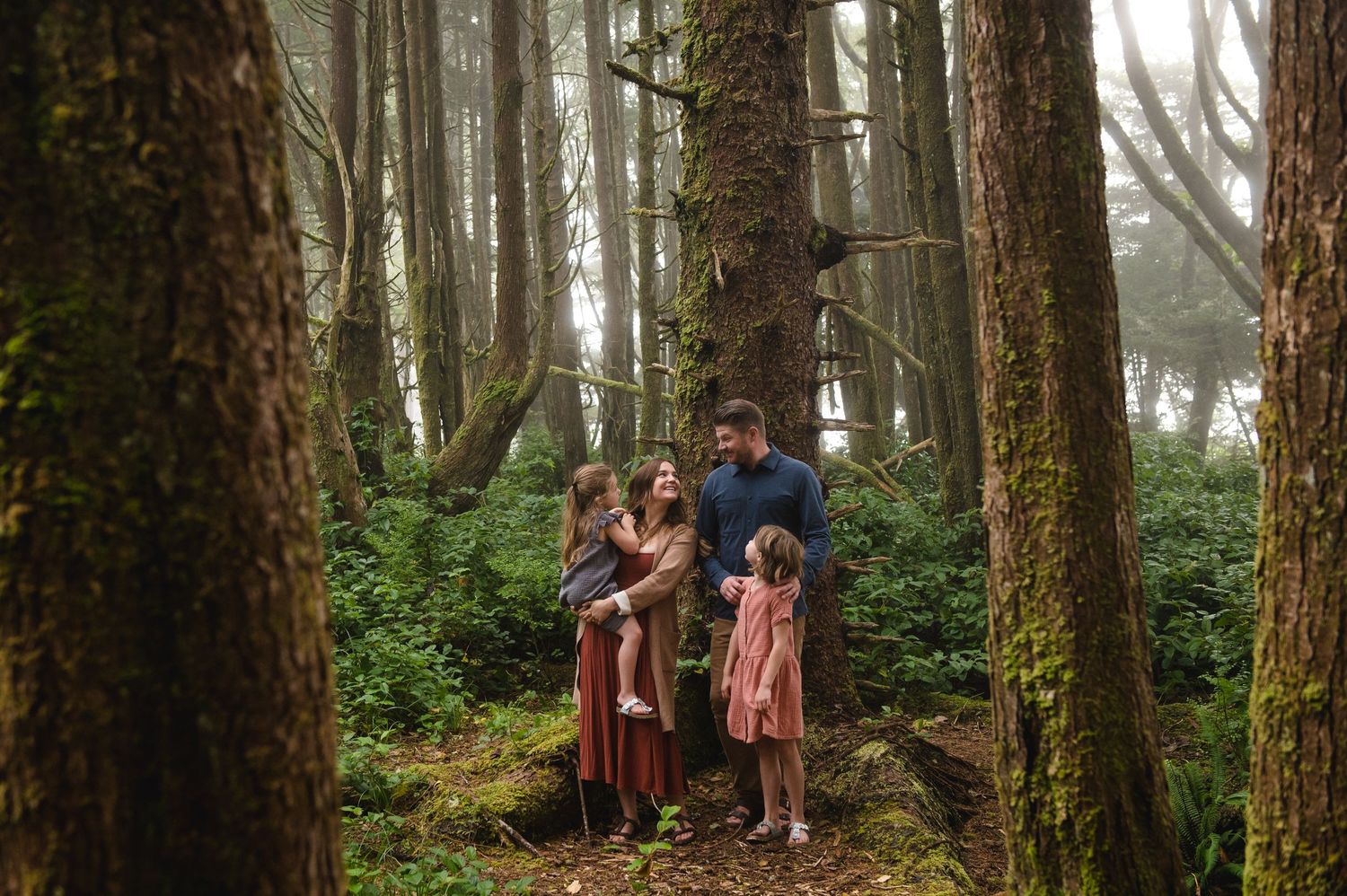 Group walking through misty forest with tall evergreen trees and lush undergrowth.
