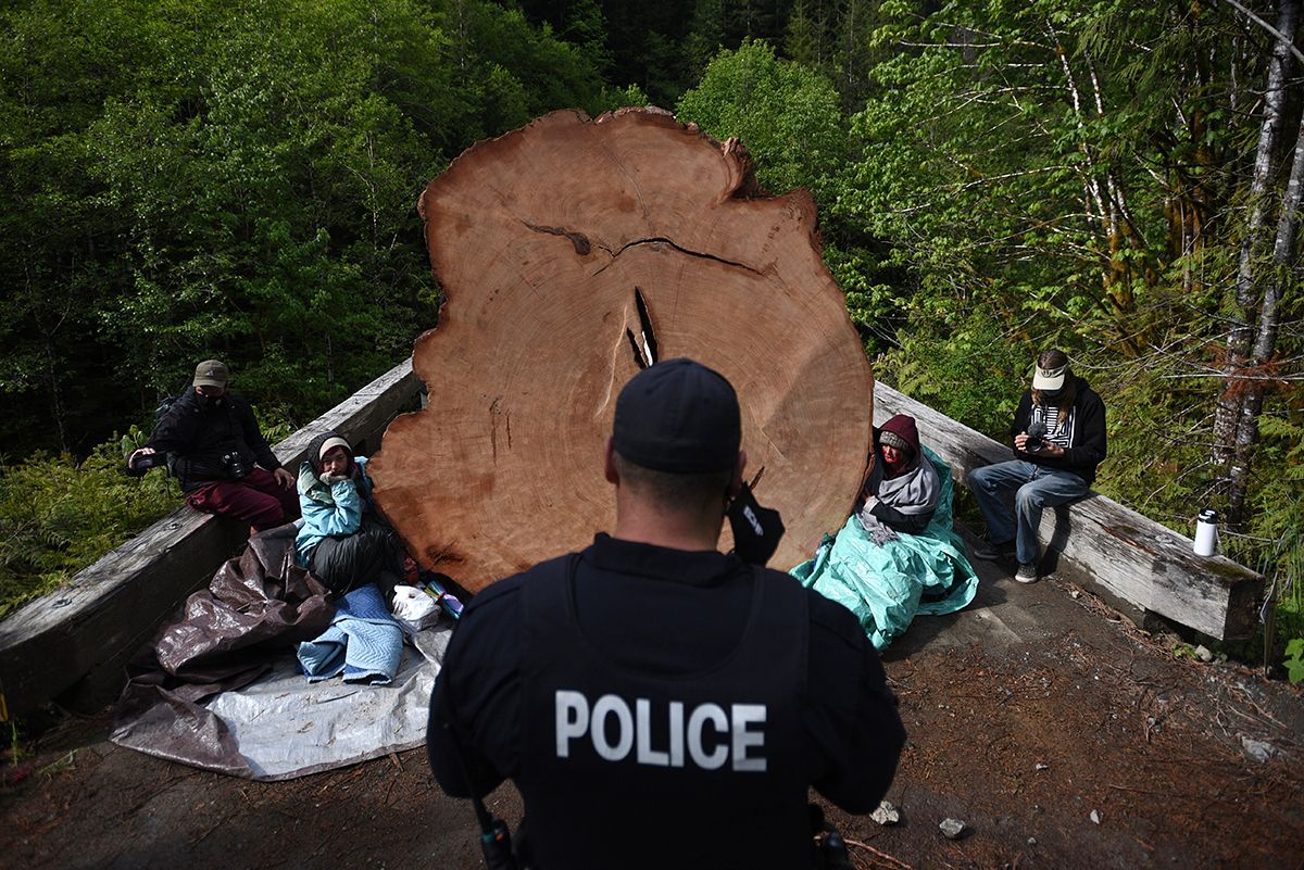 Fairy Creek blockade. Police officers and protesters gathered in a wooded area during a demonstration.