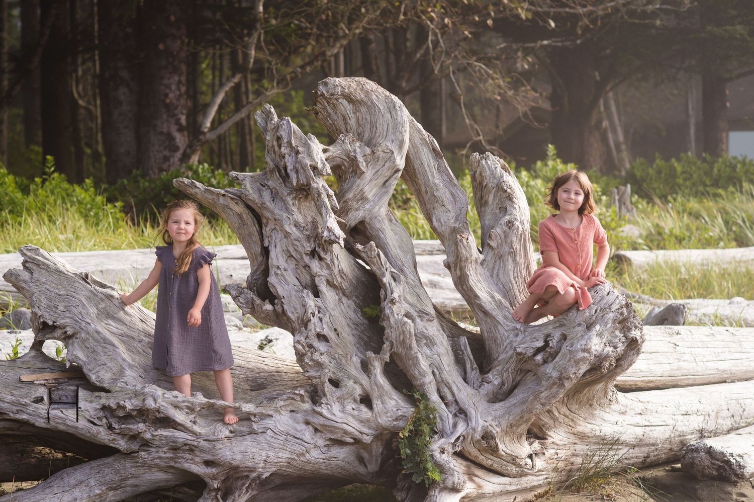 Panoramic beach scene with driftwood logs and figures exploring the shoreline.