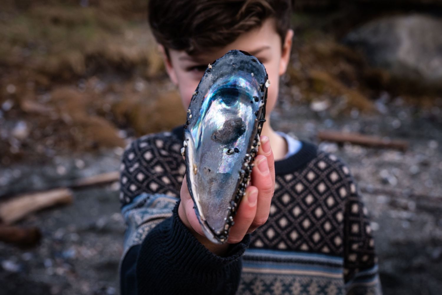 Close-up shot of someone holding a shiny silver fish caught during a beach outing.