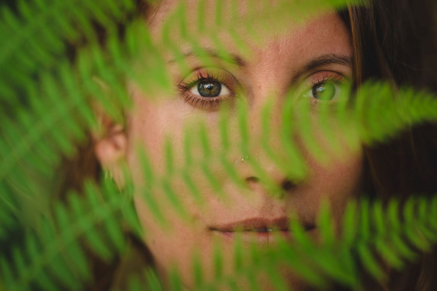 Green fern leaves frame artistic close-up shot with soft bokeh effect.