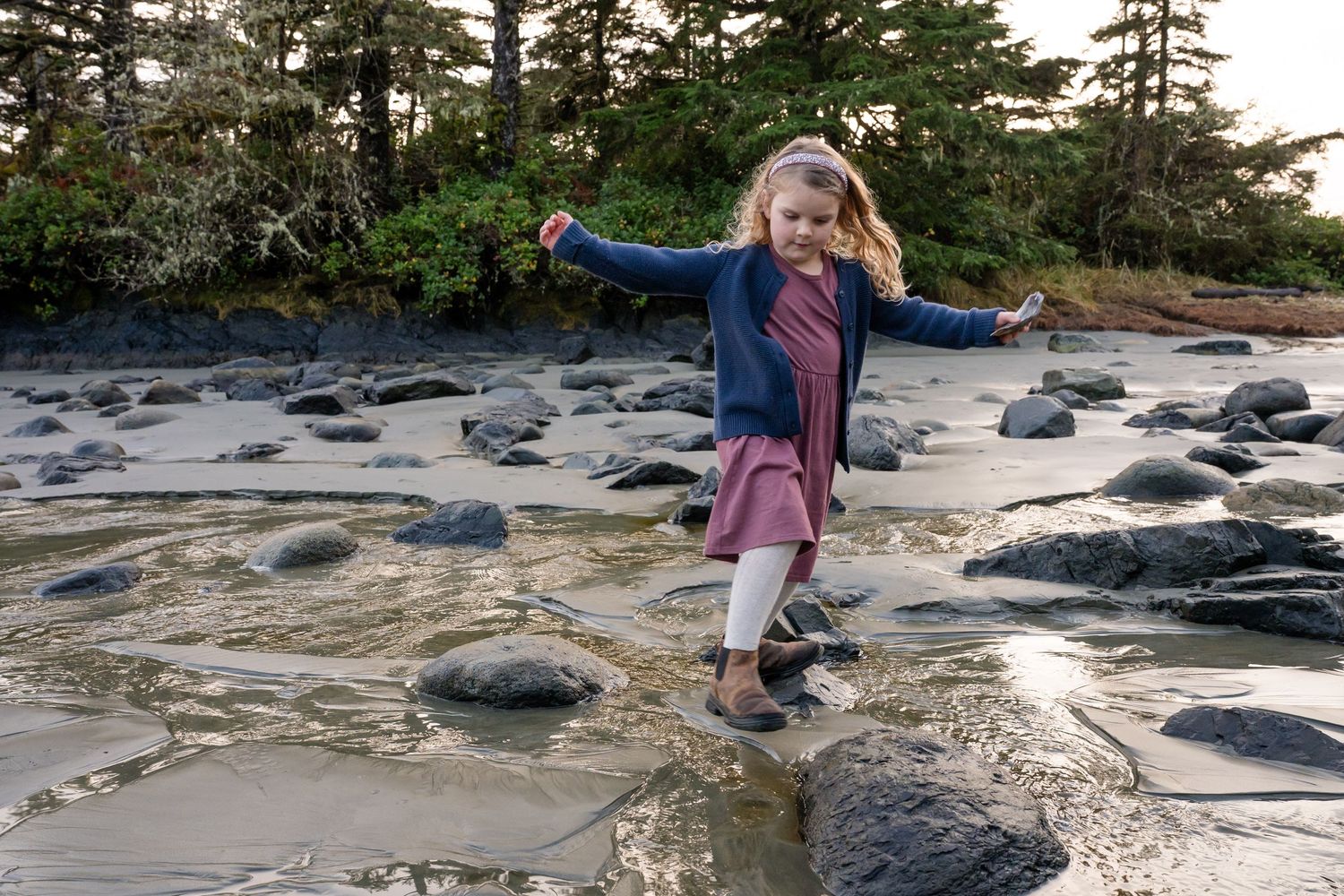 People exploring a rocky beach with scattered driftwood and evergreen trees in the background.
