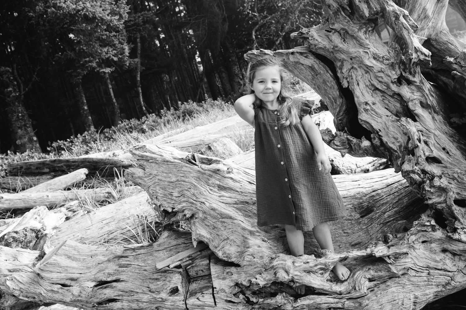 Black and white beach portraits featuring driftwood and natural scenery.