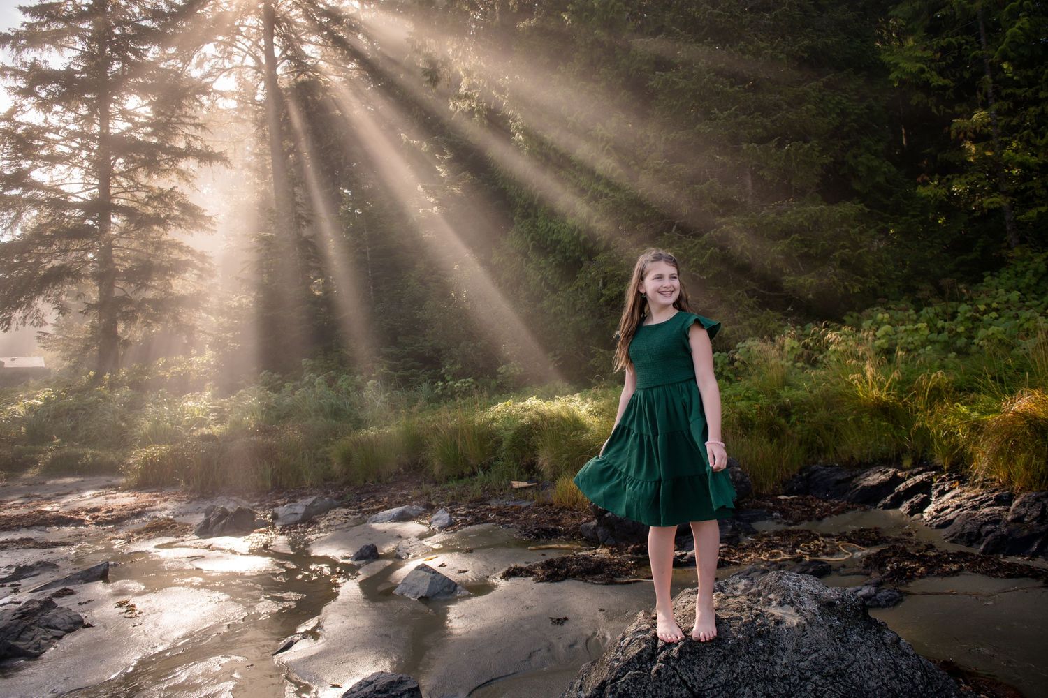 Sunbeams streaming through trees create magical forest lighting effect.