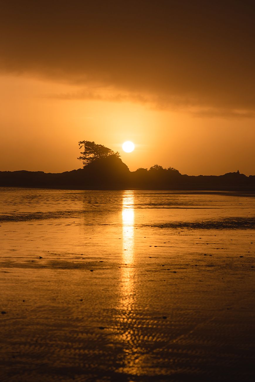 Golden sunset over calm ocean waters creates dramatic silhouettes and reflections along the coastline.