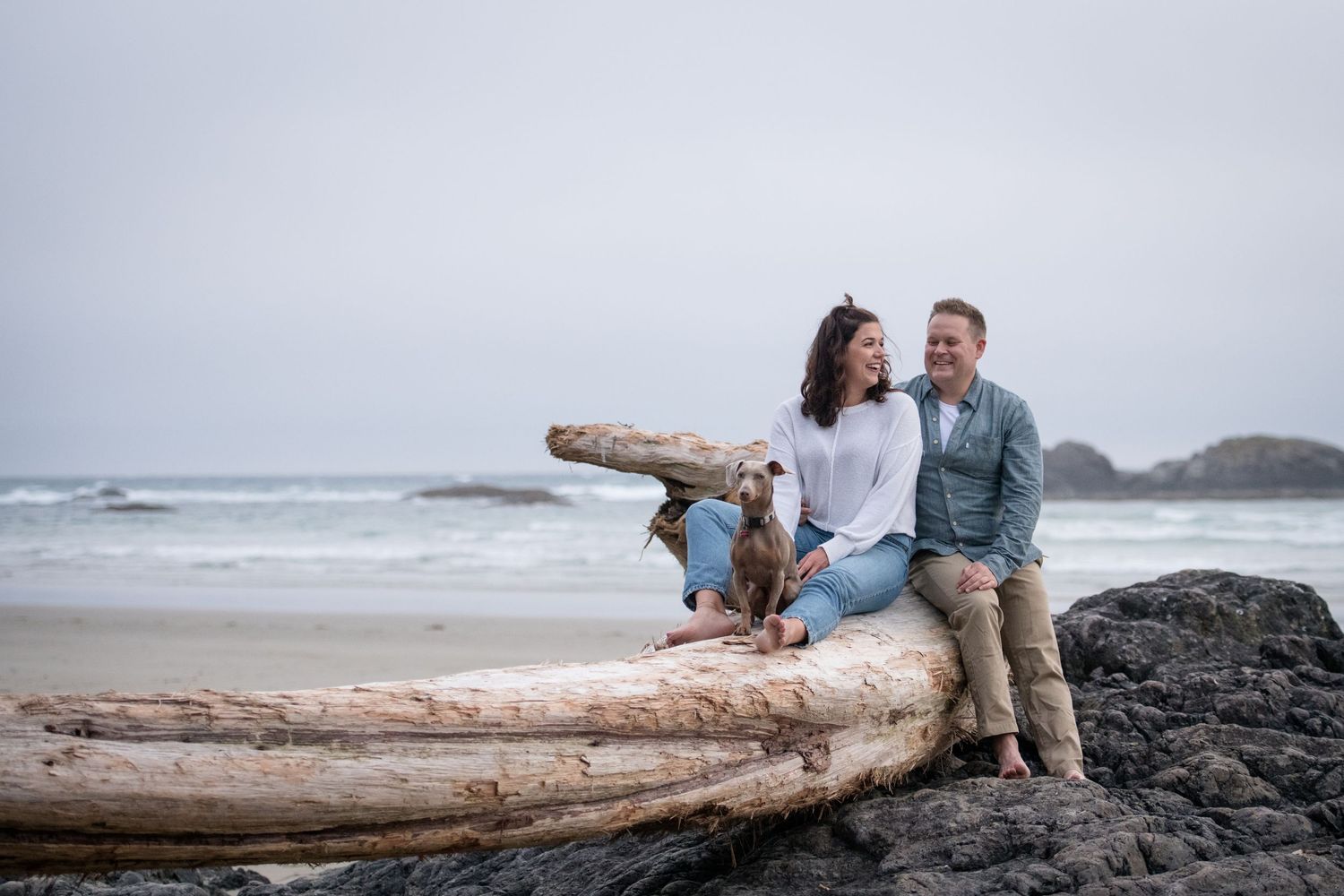 A couple and their dog relax on a large piece of driftwood at the beach.