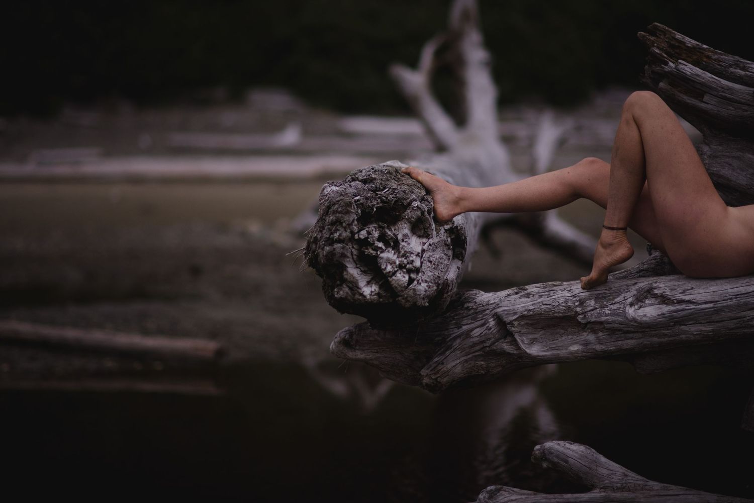 Artistic portrait showing a figure reclining on driftwood by dark water in moody lighting.
