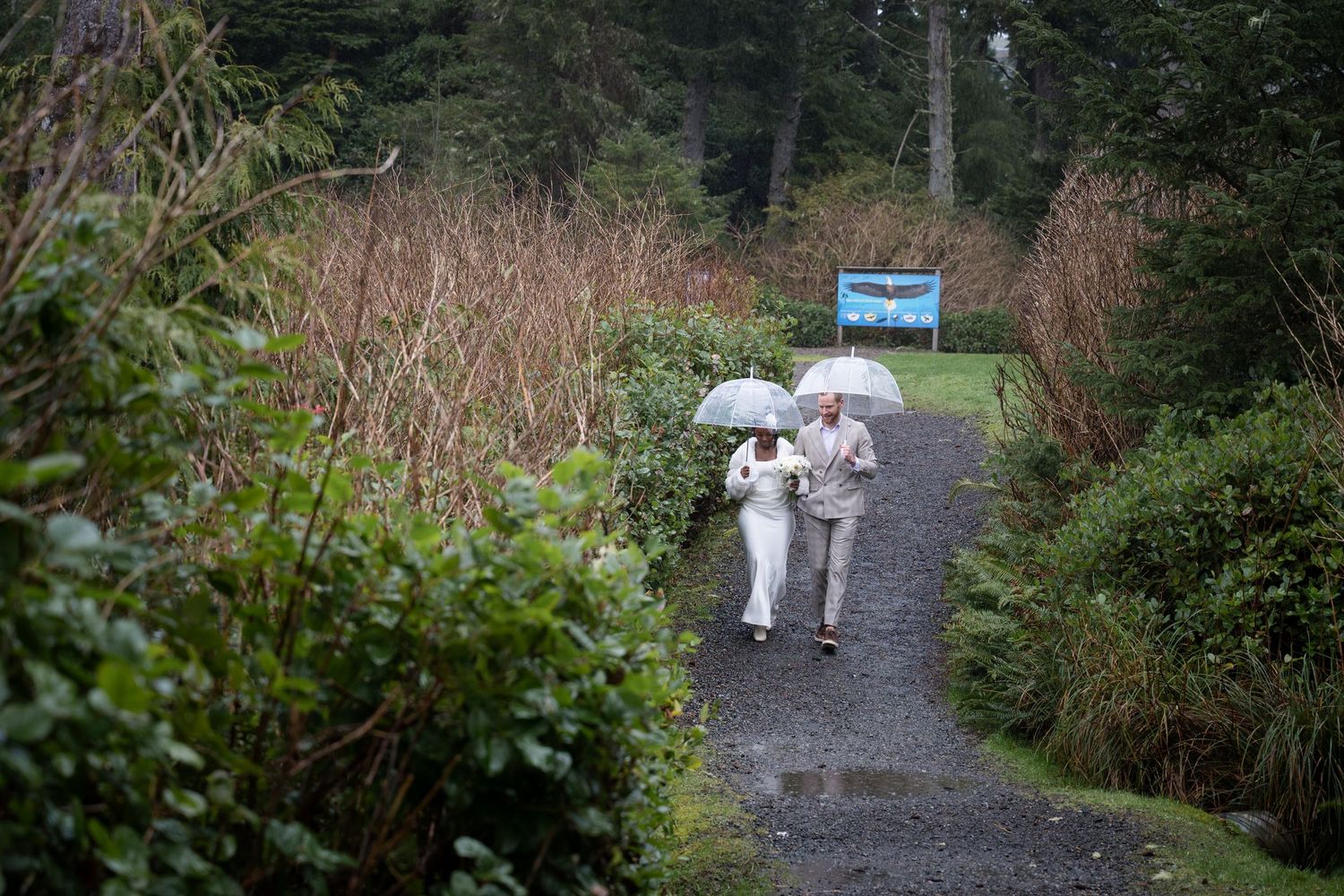 A winding path through a misty forest leads to a distant blue sign among evergreen trees.