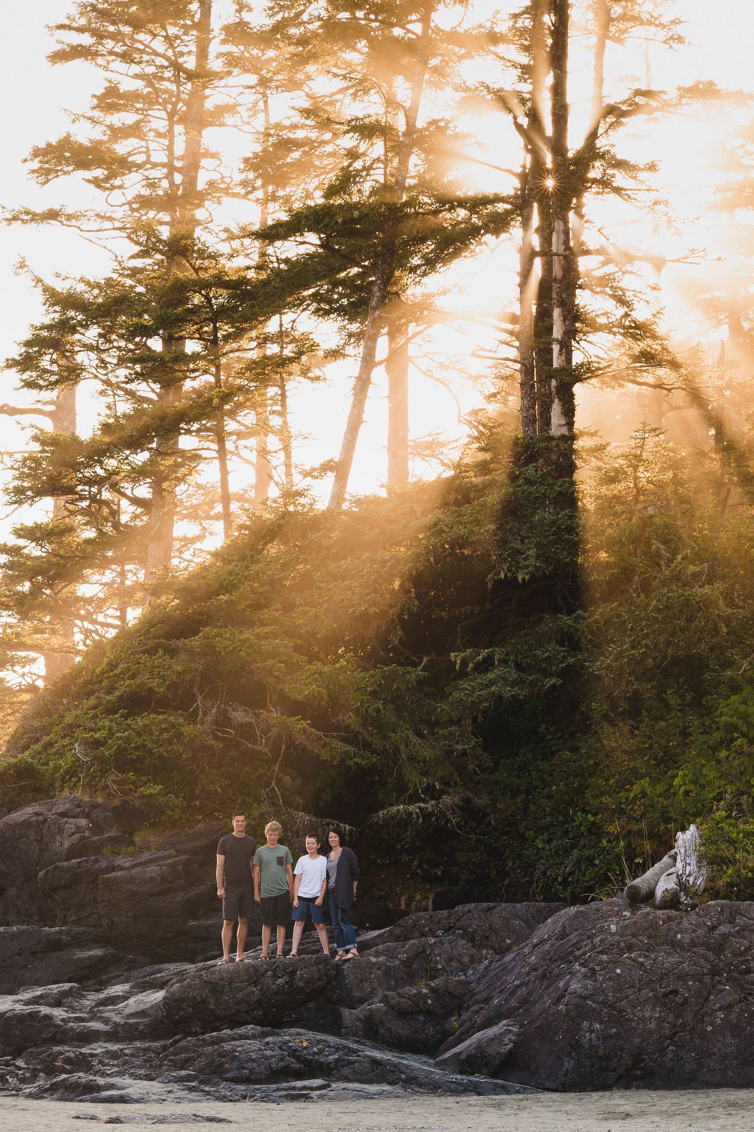 Silhouetted figures standing on rocky coastal outcrop during golden sunset through pine trees.