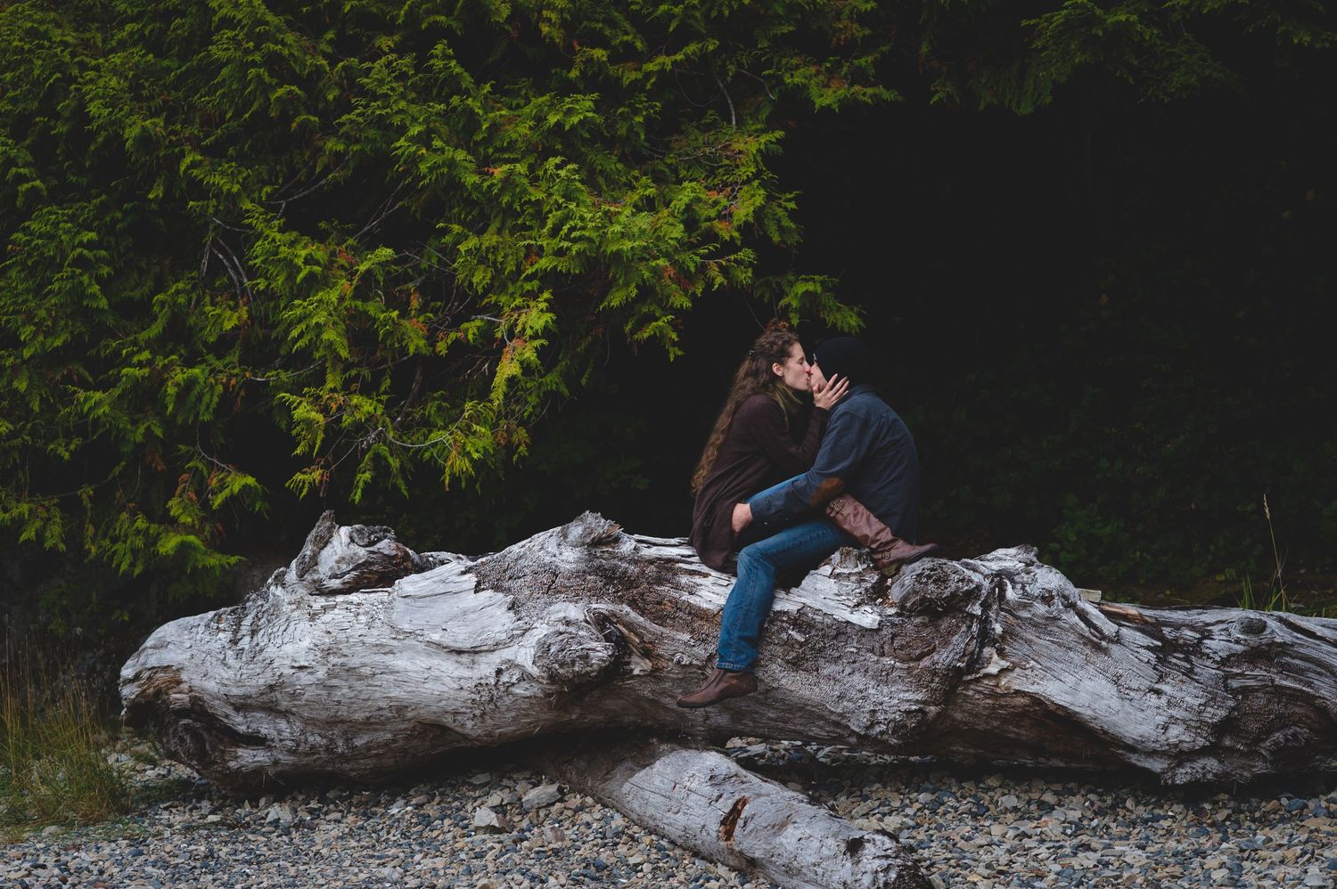People exploring rocky coastal terrain with driftwood logs and dense forest in the background.