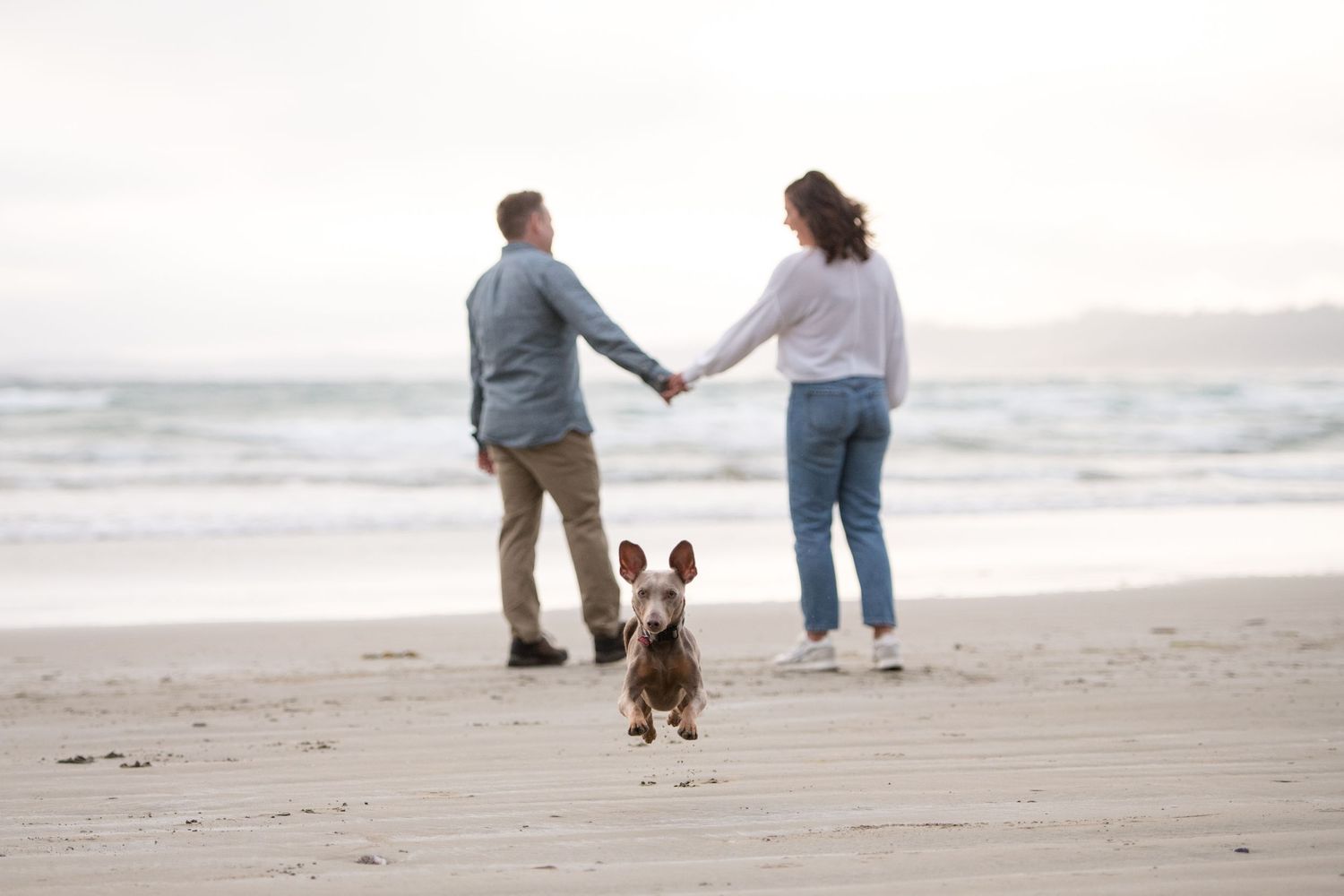 A couple walks hand in hand on a misty beach with their small dog between them.