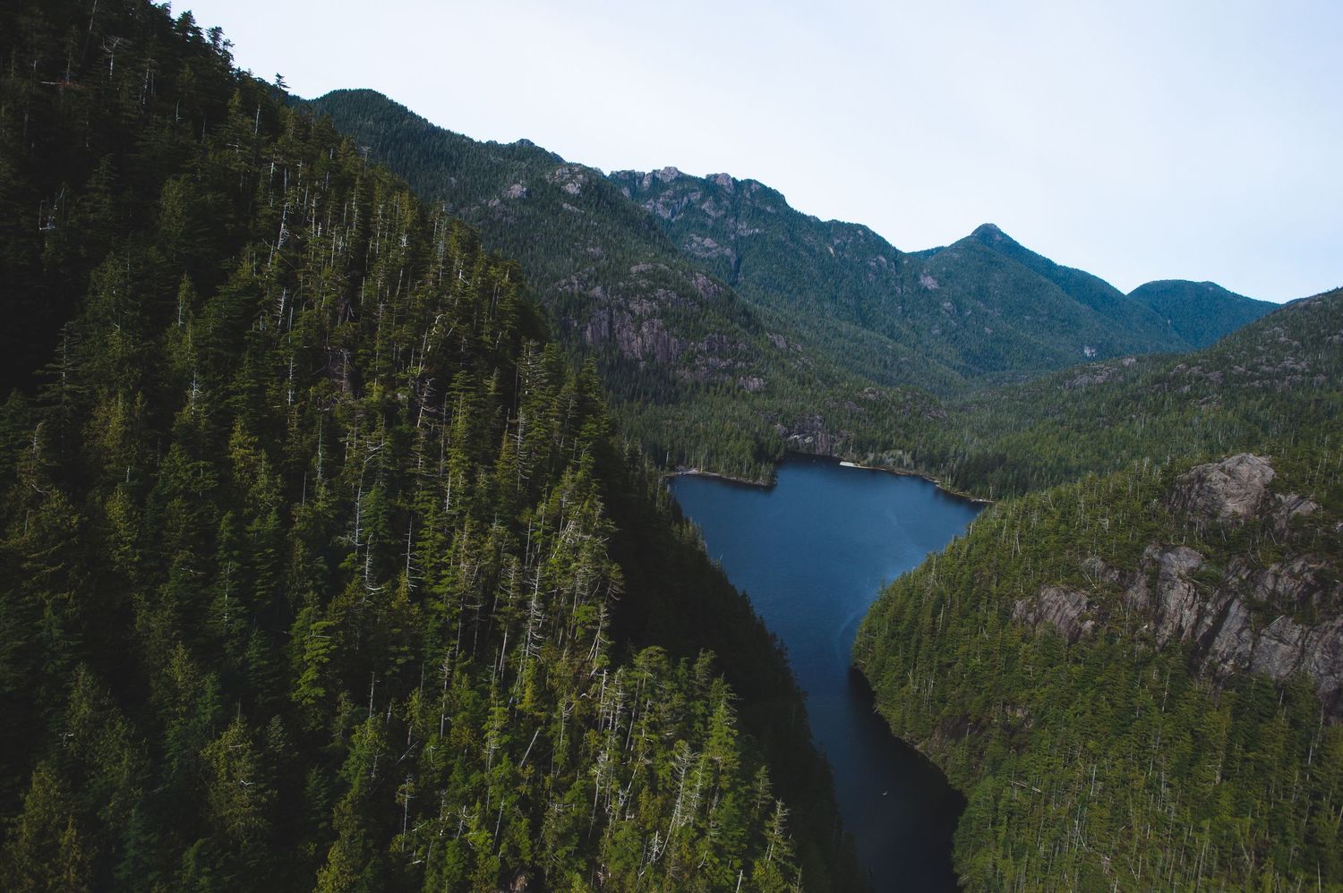 Scenic mountain landscape with dense evergreen forests and dramatic rocky peaks reflected in calm waters.