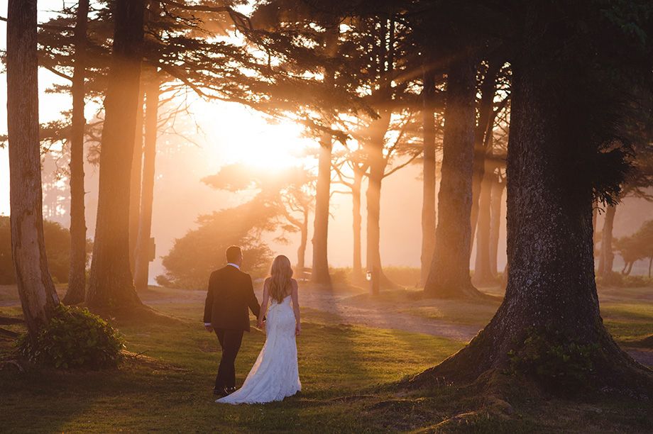 Sunlit forest wedding scene with golden rays streaming through tall trees at sunset.