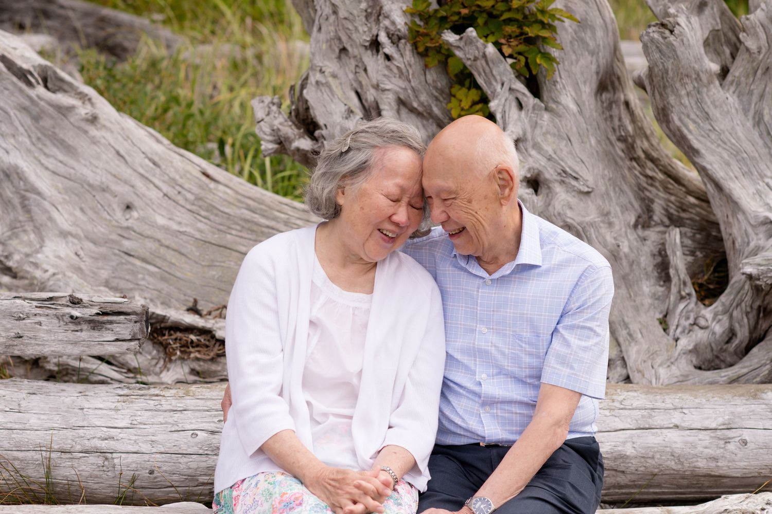 Couple sitting together on driftwood at a scenic beach during a romantic photoshoot.