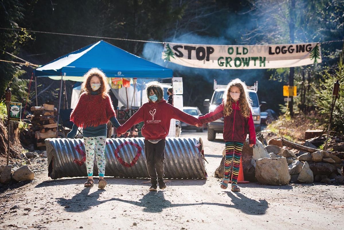 Fairy Creek blockade. Protest camp with tents and banners set up along a roadside in a forest setting.