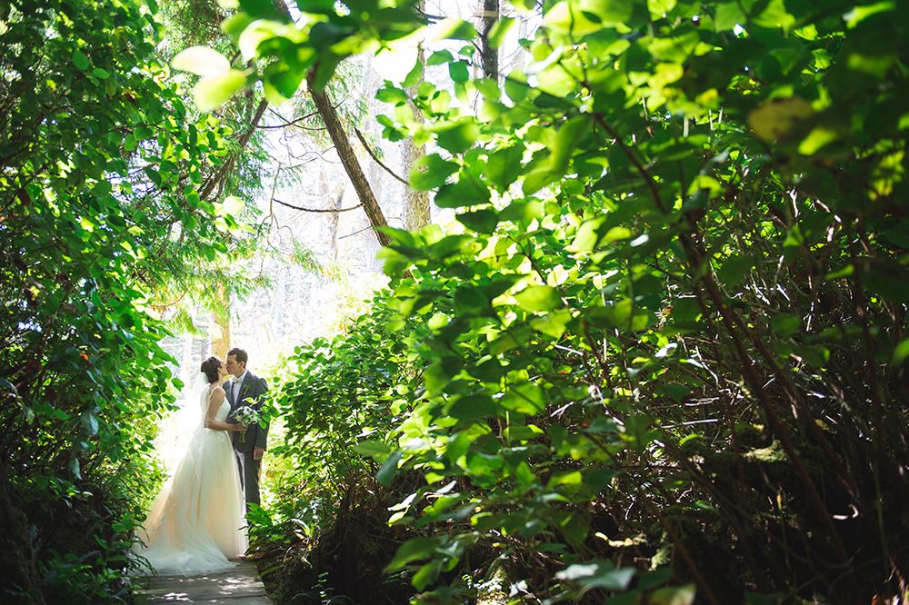 Sunlit forest canopy creates natural green backdrop for wedding photography.