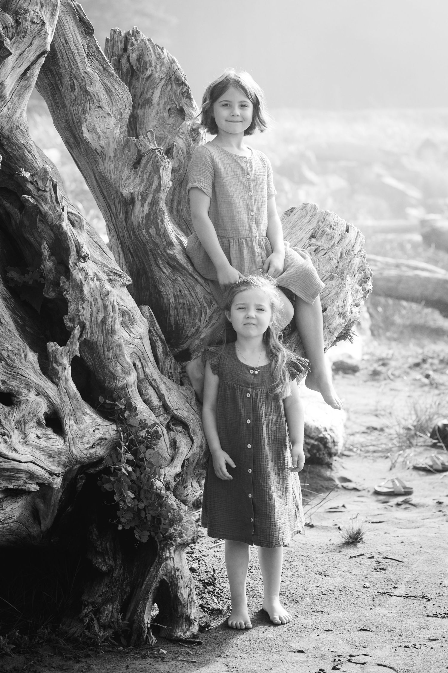 Two figures stand near large driftwood on a misty beach shoreline.