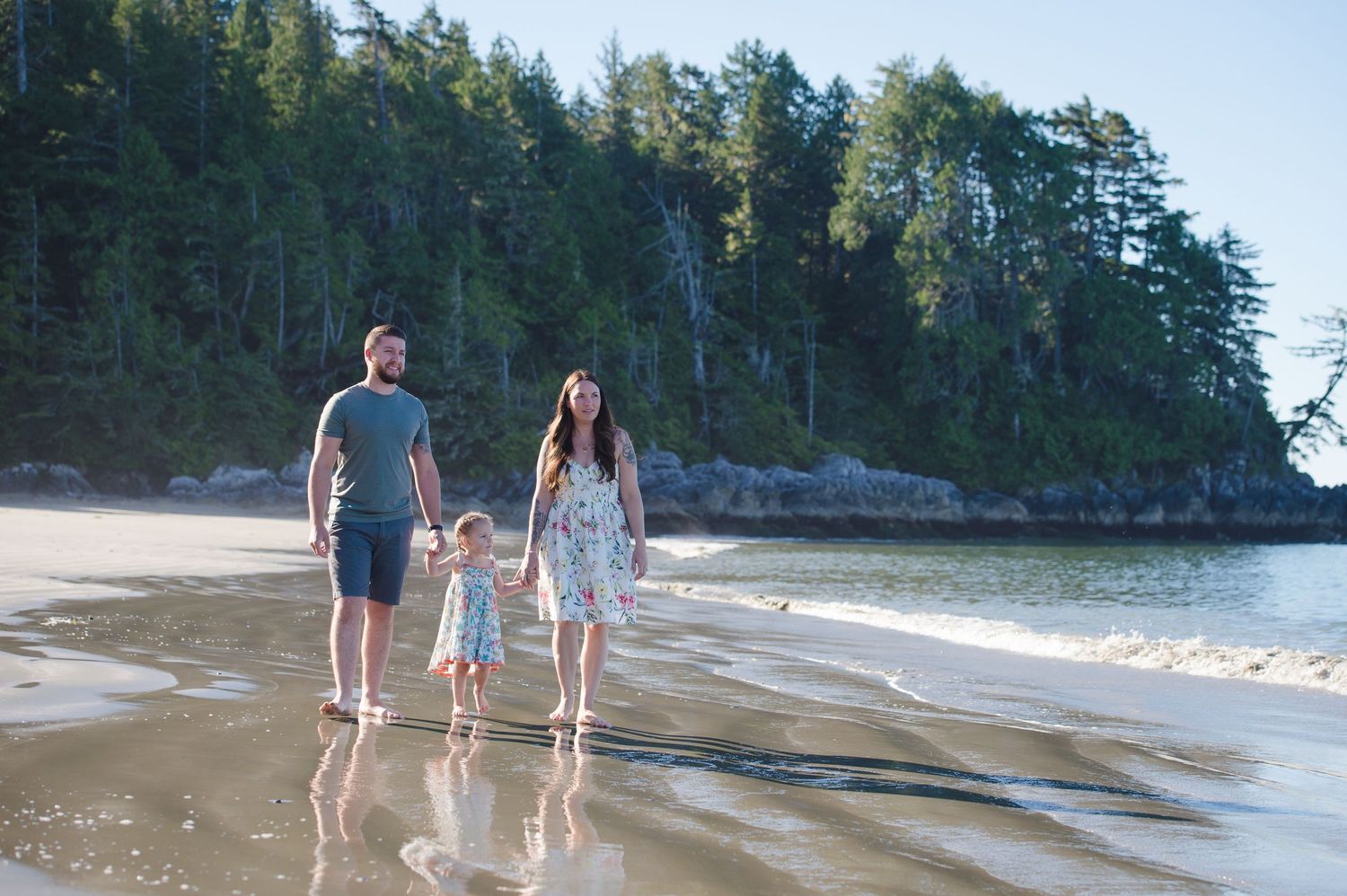 Beautiful beach landscape with pine trees and calm waters under blue sky.