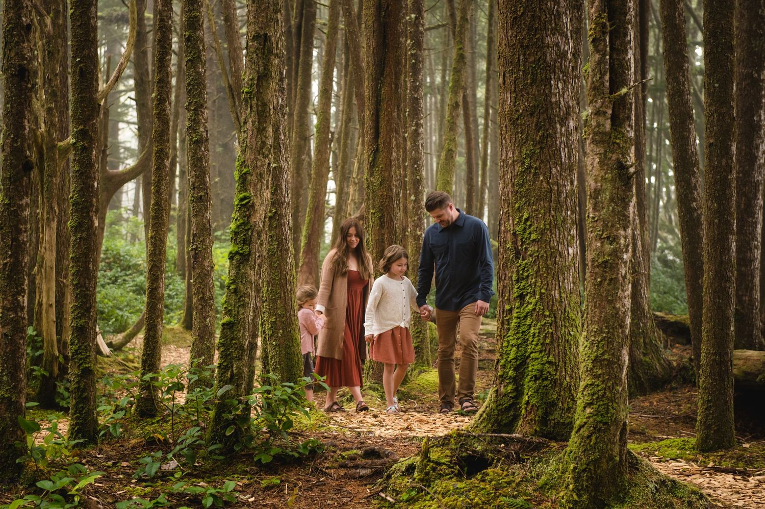 Scenic forest path with tall trees and green undergrowth.